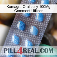 Kamagra Oral Jelly 100Mg How To Use viagra3